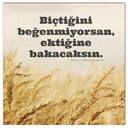 bictigini_begenmiyorsan.jpg